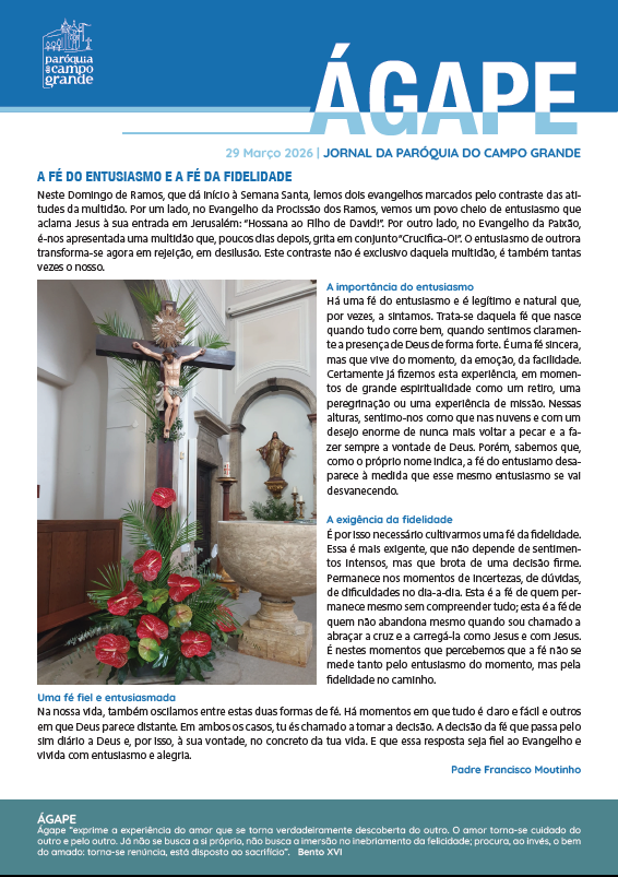 capa site 29março