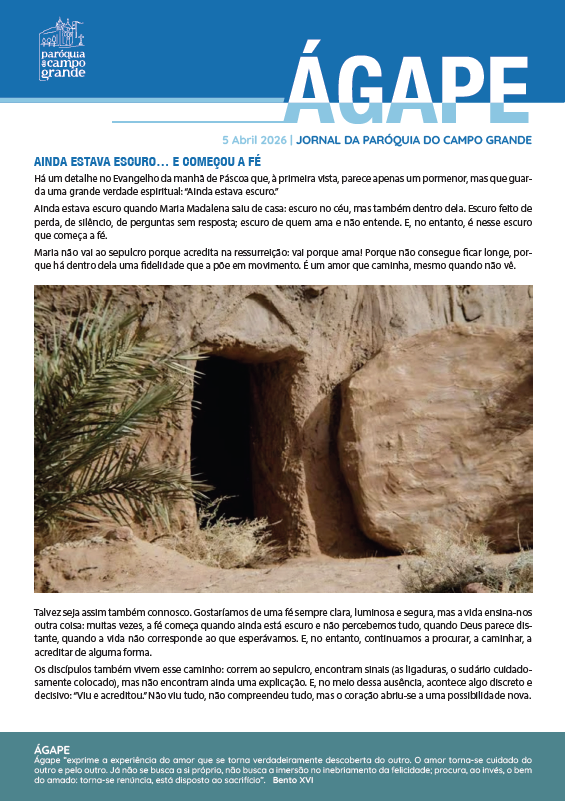 capa 5 abril